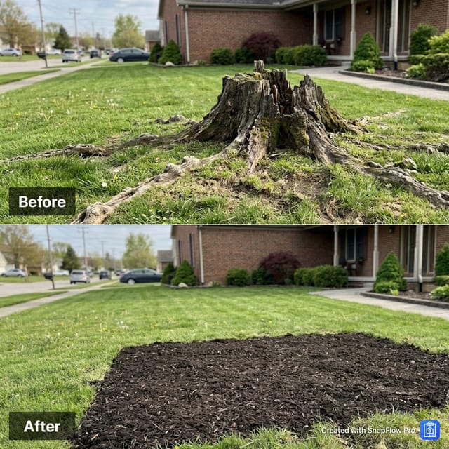 Example Before and After composite photo report for an outdoor project